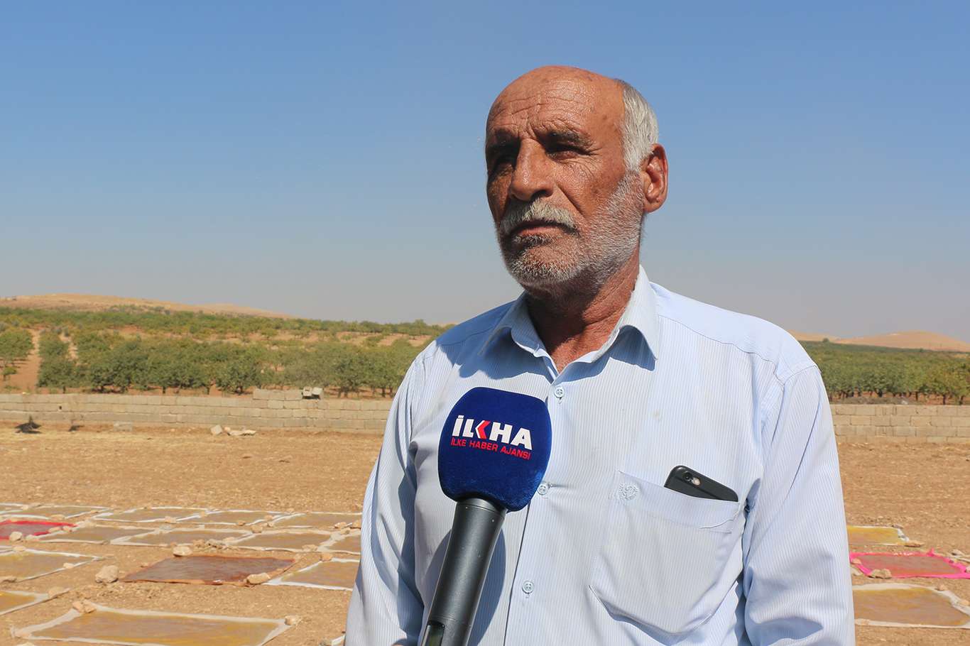 Mehmet Ali Şor